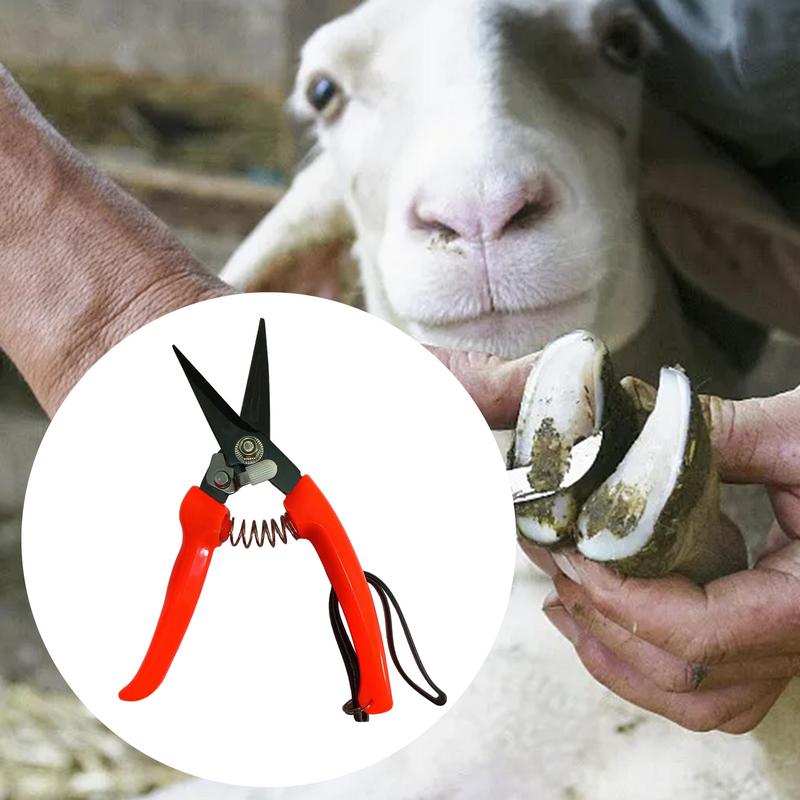 Sheep Hoof Trimmers Shrub Plan - Woodworking Horse 리뷰 및 가격