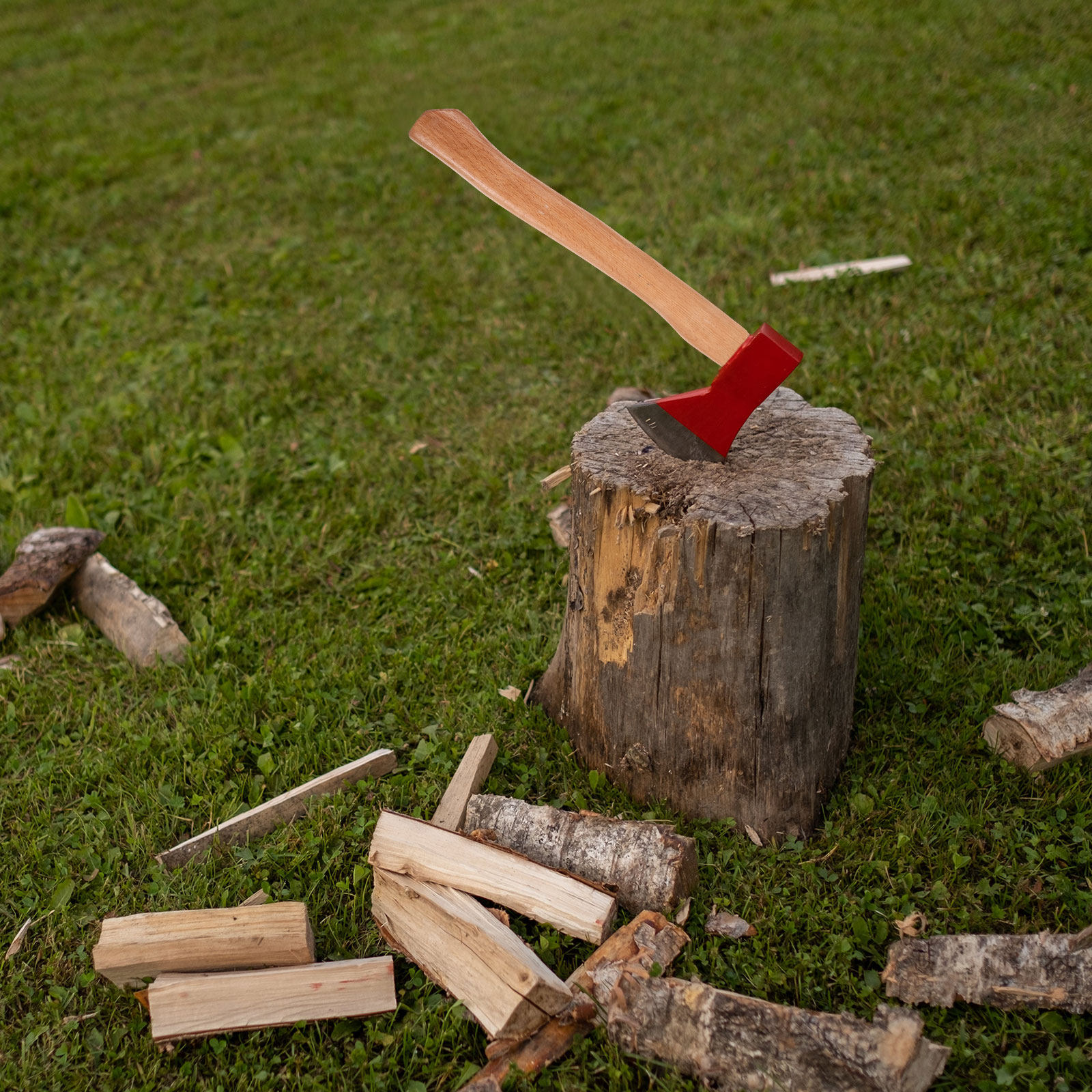 Beech Axe H 43cm Wooden Replac - Woodworking Terms 리뷰 및 가격
